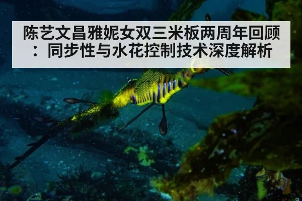 陈艺文昌雅妮女双三米板两周年回顾:同步性与水花控制技术深度解析